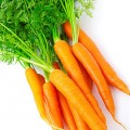 Cà Rốt