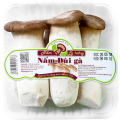 Nấm Đùi Gà