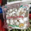Nấm Linh Chi Trắng