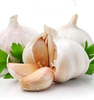 Tỏi